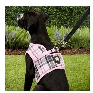 NWT - Puppia Junior B Style Polyester Step In Back Clip Dog Harness